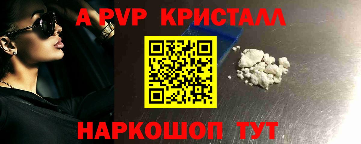 Alfa_PVP крисы CK Нальчик