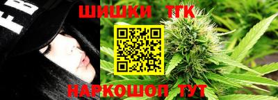 гидра Заводоуковск