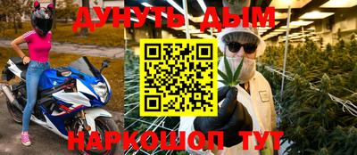 гидра Заводоуковск