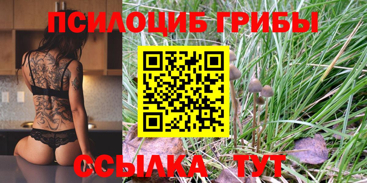 Нальчик  Галлюциногенные грибы Cubensis  Псилоцибиновые грибы GOLDEN TEACHER  Вход с VPN 
